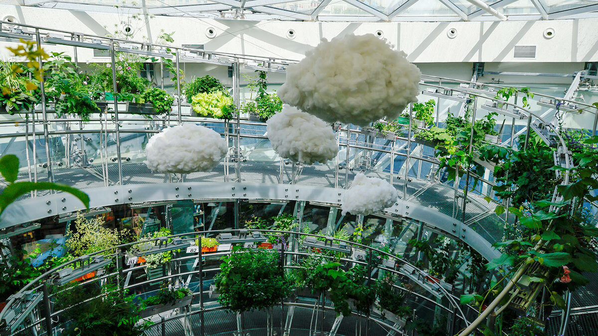 Генетика, скульптуры и виртуальные туры: выходные в Зарядье