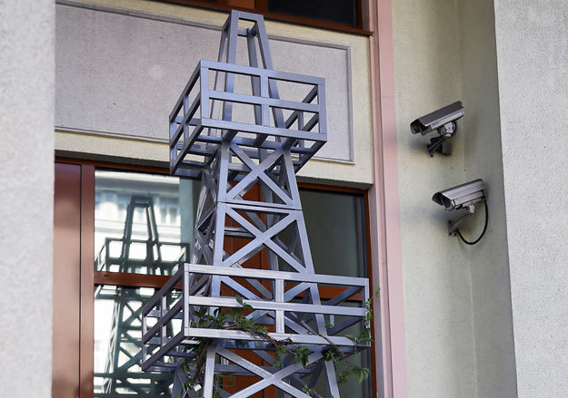 Денис Абрамов