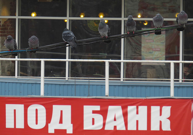 Максим Стулов