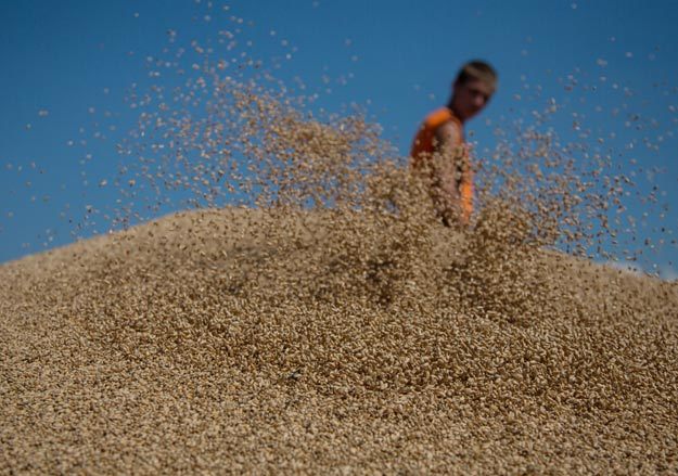 Денис Абрамов