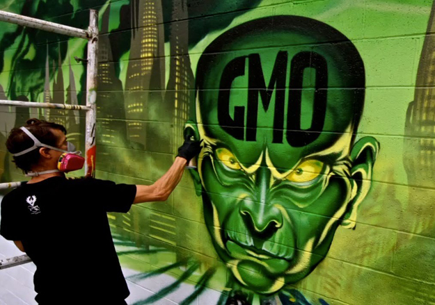 Больше 90% производителей сельскохозяйственной продукции с ГМО - фермеры из развивающихся стран (на фото - Филиппины)