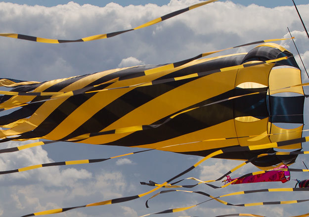 Денис Абрамов