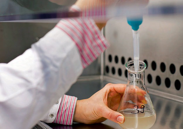 «Лукойлу» могут быть интересны полимеры из древесных грибов