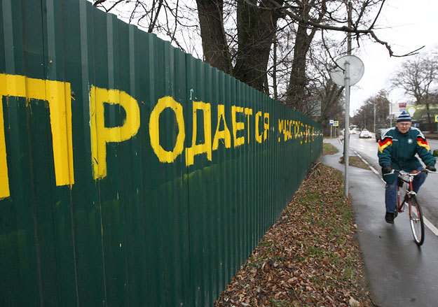 Денис Абрамов