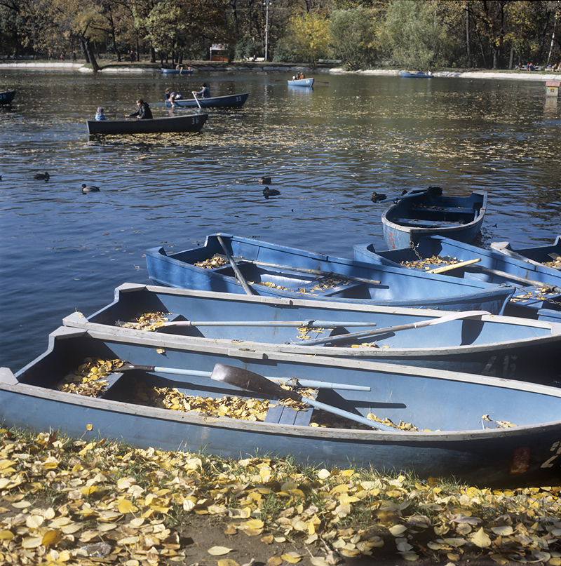 "Останкино", 1983

Парк "Останкино" расположен на северо-востоке Москвы. Его формирование складывалось на протяжении многих веков и закончилось на рубеже XIX-XX вв. В советские времена практически не был благоустроен, территория парка пустовала.  В 2013 г. власти Москвы решили реконструировать и обустроить парк. По словам мэра Москвы Сергея Собянина парк не только необходимо было заново отстроить, но и адаптировать к проведению культурных мероприятий.