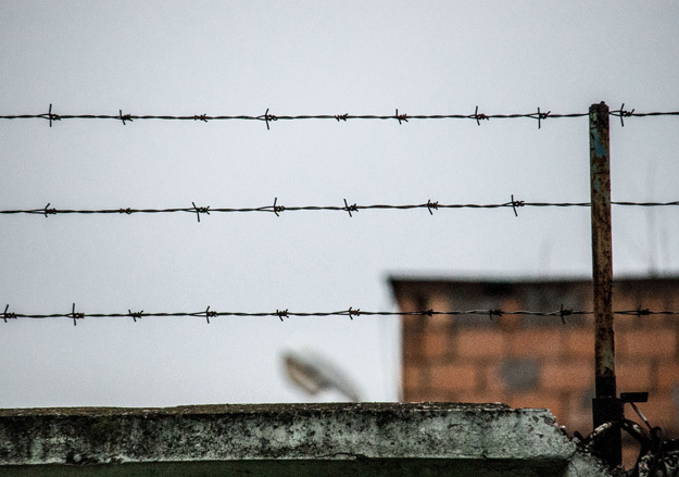 Злата Милявская