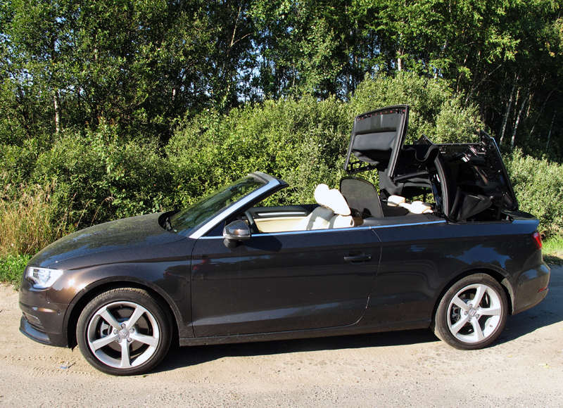 Александр Губский