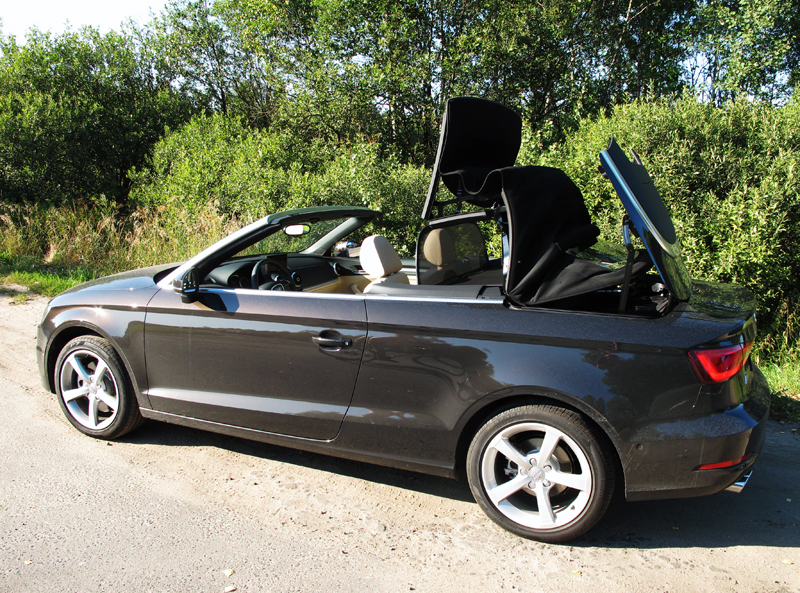 Александр Губский