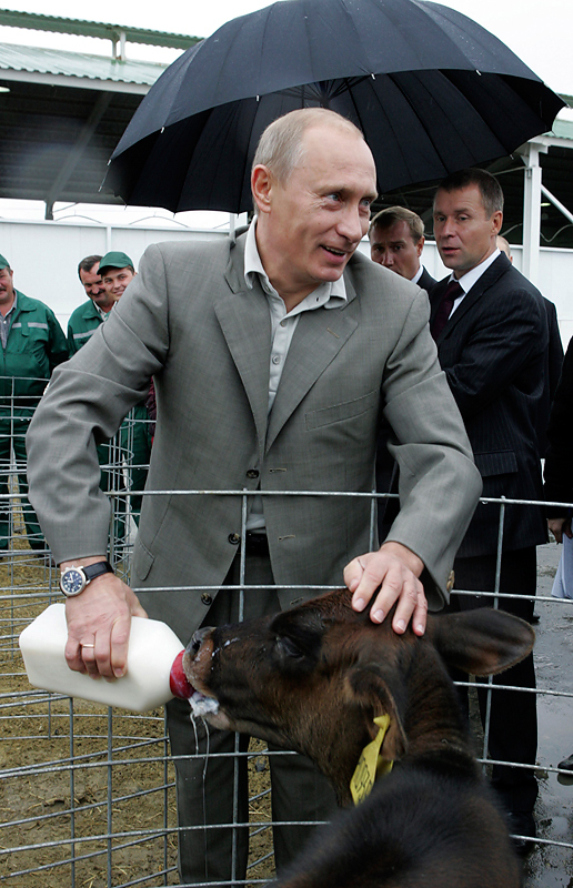 Первые два срока Владимира Путина

Во время первых двух президентских сроков Владимира Путина резко увеличился экспорт зерновых, при этом рос и импорт продовольствия (до $33,9 млрд в 2008 г.)