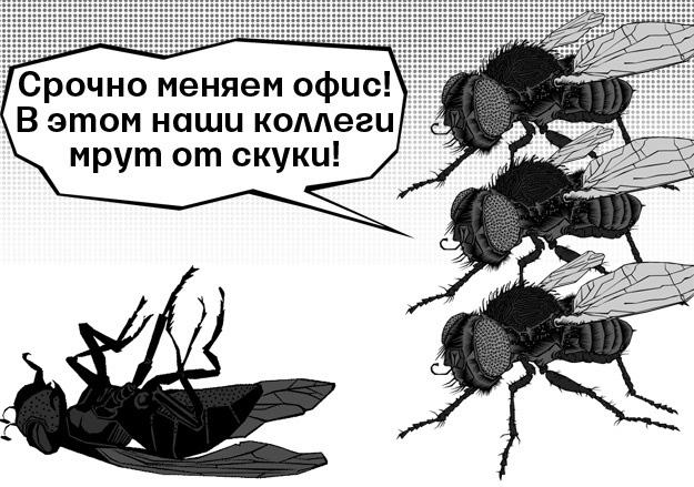 А. Таранин