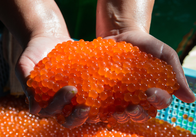 Сергей Красноухов