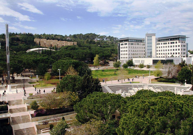 Израиль

71. Еврейский университет в Иерусалиме (Hebrew University of Jerusalem)
72. Технион - Израильский технологический институт (Technion - Israel Institute of Technology), на фото
73. Тель-Авивский университет (TelAviv University)