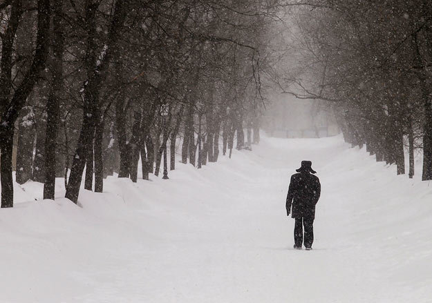 Андрей Махонин