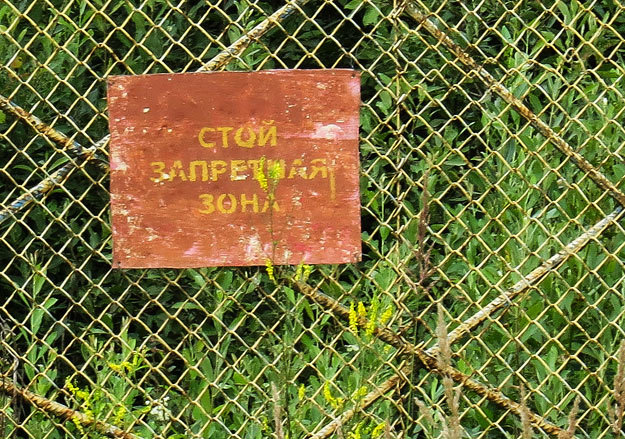 Максим Стулов