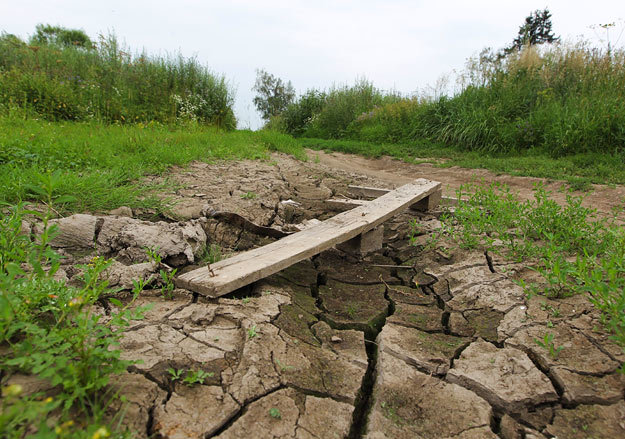 Максим Стулов