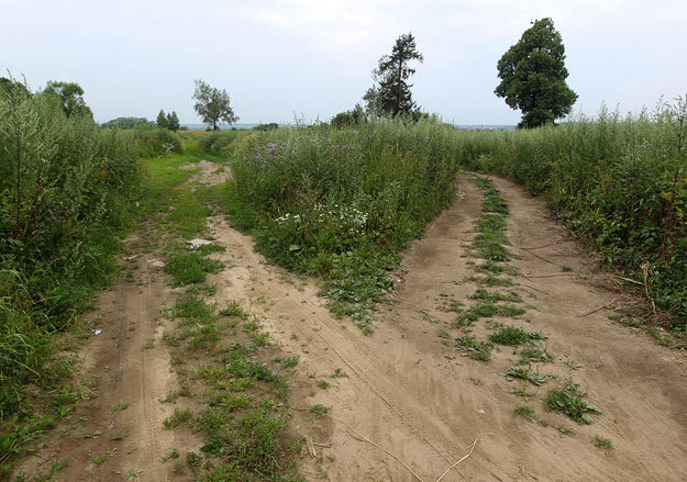 Китайские инвесторы интересуются строительством шести станций в новой Москве
