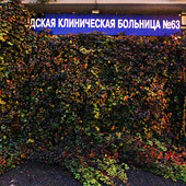 городскую клиническую больницу №63 ждет обновление