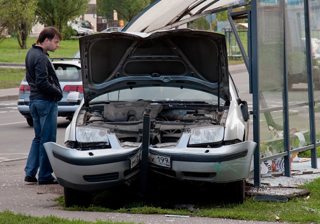 И.Грибовская