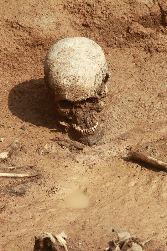 Андрей Махонин