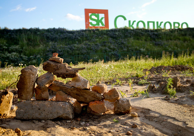 Бюджетный горизонт для «Сколково» - 2020 г.
