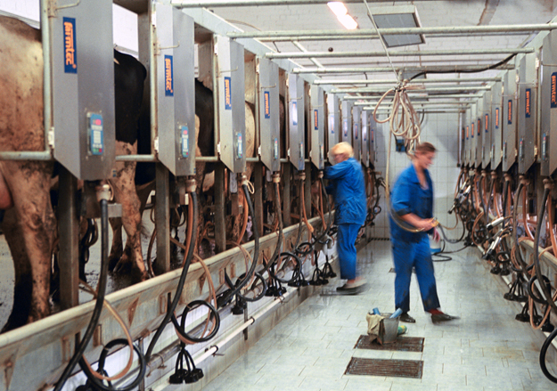 Руслан Кривобок