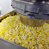 В. Мельников