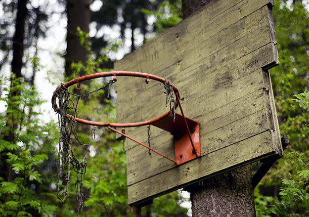 Д.Новожилов