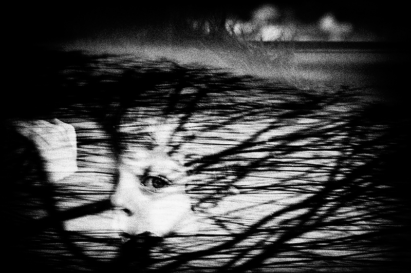 Немальня Панчич, Сербия, Kurir

27 февраля 2012, Белград, Сербия  
Милан (4 года) уезжает из больницы 27 февраля – через три месяца после семейной попытки группового самоубийства, в результате которой он выжил, а отец и мать погибли. Втроем они прыгнули с балкона шестого этажа в Белграде (Сербия). Родители Милана в разгар экономического кризиса в стране столкнулись с тяжелыми финансовыми проблемами.