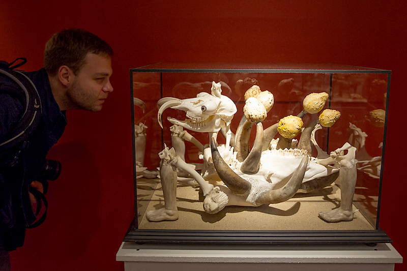 Денис Абрамов