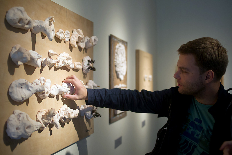 Денис Абрамов