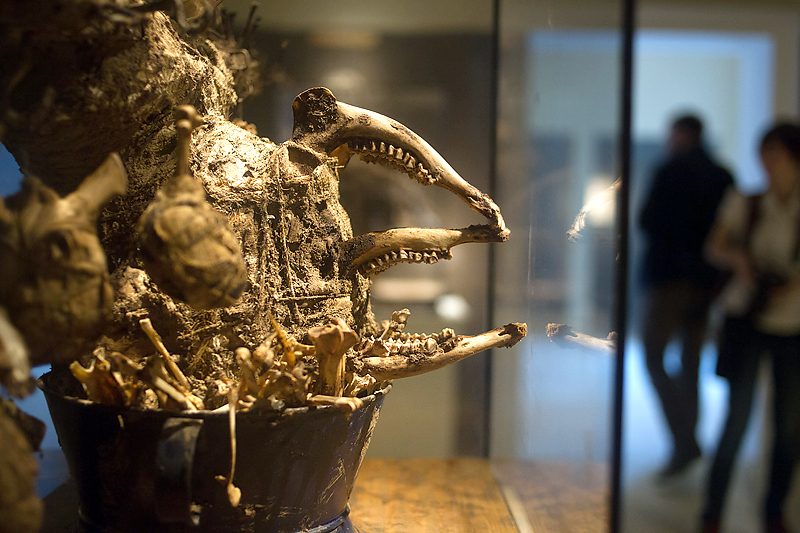 Денис Абрамов