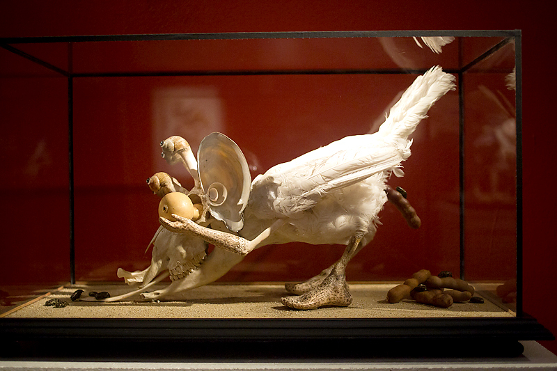 Денис Абрамов