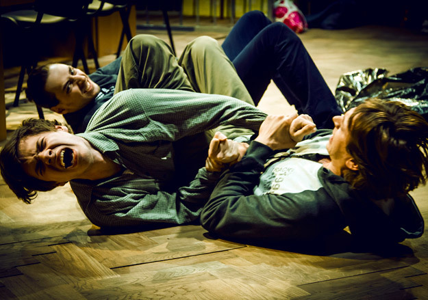 Наши идиоты – это те, кто не доставляет удовольствия соседям и милиции