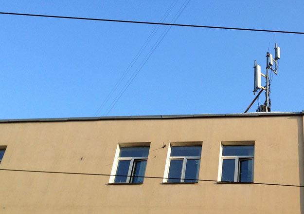 З. Милявская