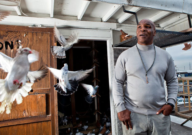 В школе Тайсона дразнили за шепелявость, полноту и высокий голос. Голуби заменили ему весь мир