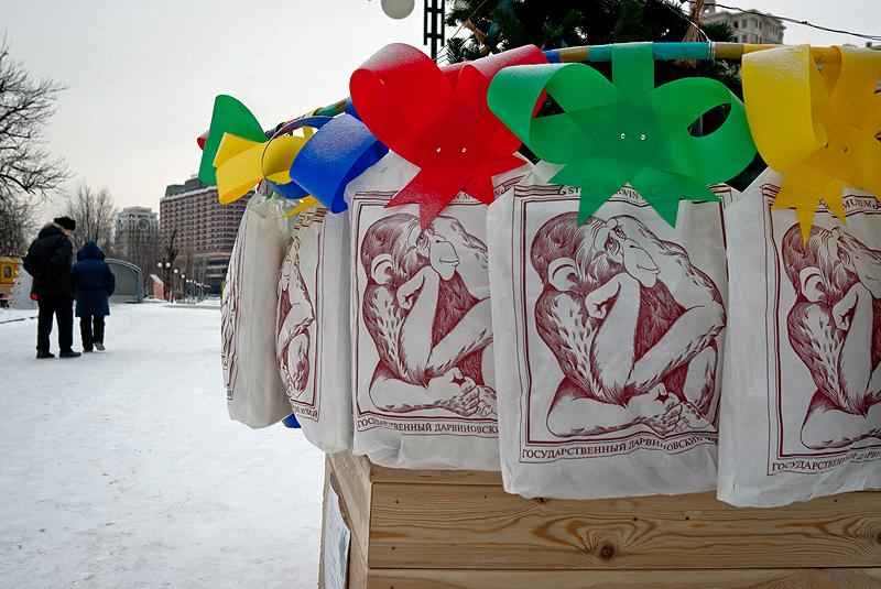 Мирослав Робка