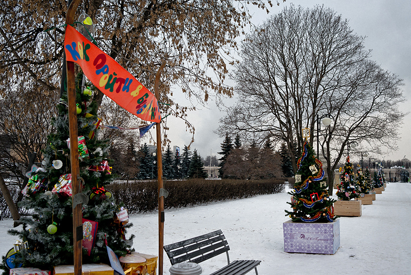 Мирослав Робка