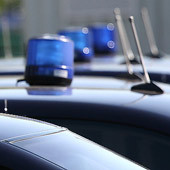 Е. Кузьмина