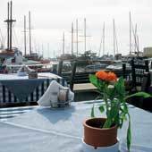 Е. Никитина