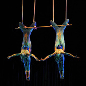 В этом шоу все держится не столько на сюжете, сколько на центральном образе шумного, стремящегося ввысь современного мегаполиса