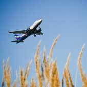 А. Махонин
