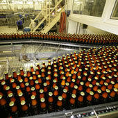 Производство пива за полгода сократилось на 10%
