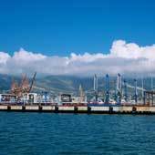 За состоянием дел в Новороссийском порту с прошлой недели следит представитель Аркадия Ротенберга Георгий Коряшкин