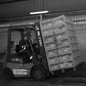 ГК «Оптифуд»