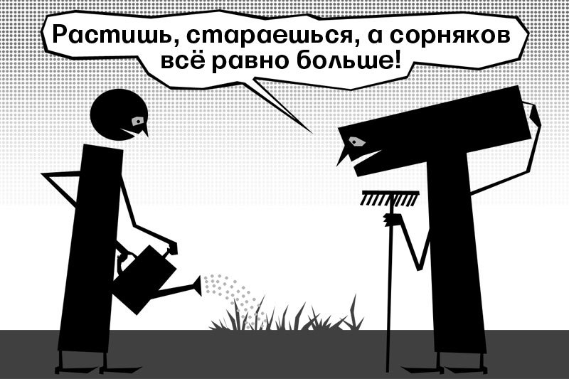 А. Таранин