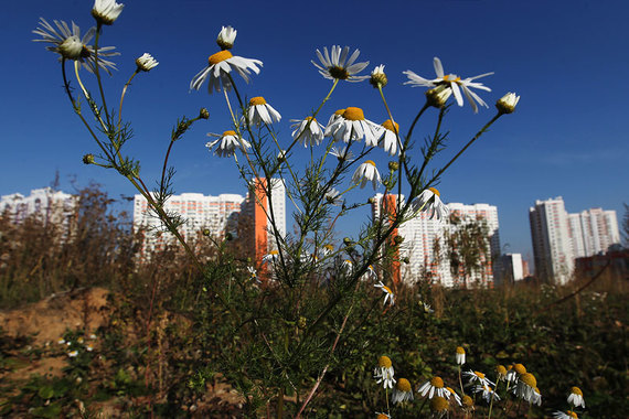 Подписано постановление о снижении льготной ставки по ипотеке