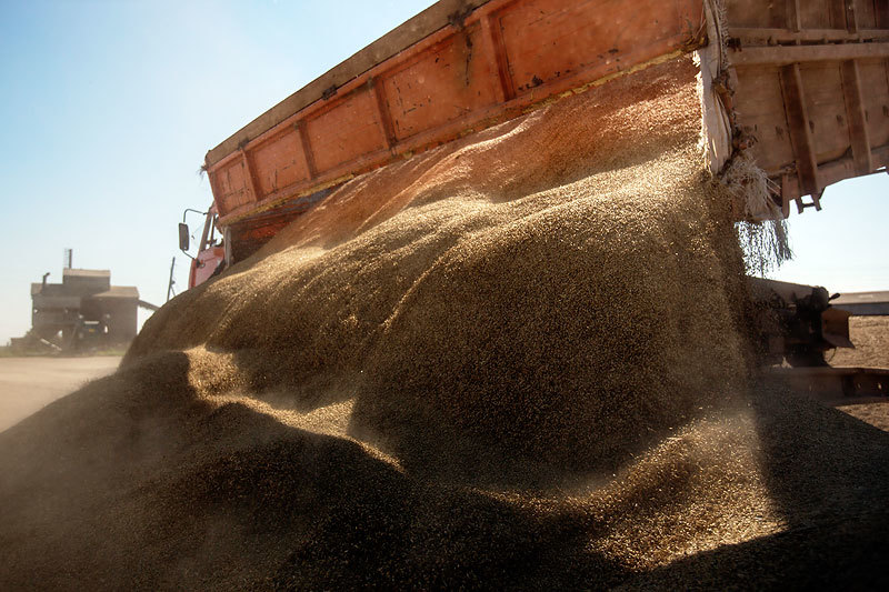 Российские аграрии потеряли 20 млрд рублей