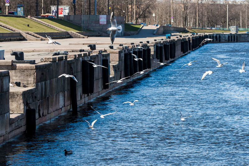 Права аренды причала и акватории – у разных компаний