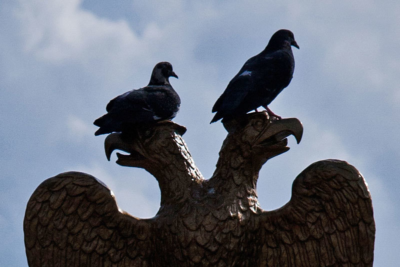 Худшие сценарии в российской экономике не реализовались