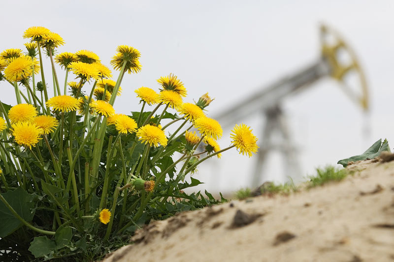 В этом году «Сургутнефтегаз» может направить на дивиденды 86,4 млрд руб.